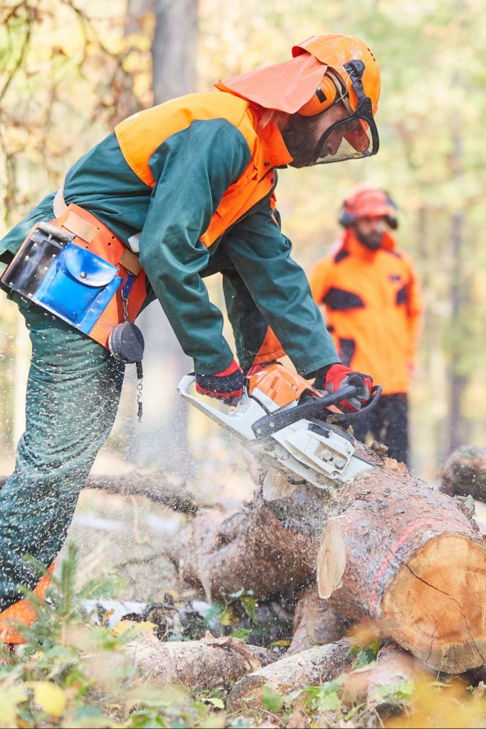 Group lumberjack in the forest saws logs